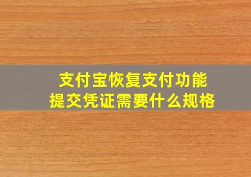 支付宝恢复支付功能提交凭证需要什么规格