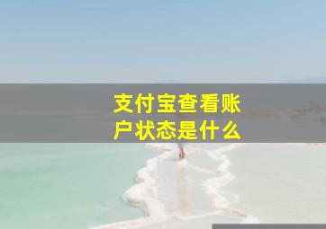 支付宝查看账户状态是什么