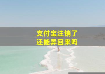 支付宝注销了还能弄回来吗