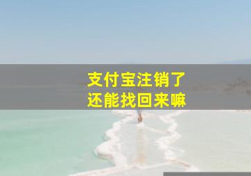 支付宝注销了还能找回来嘛