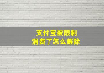 支付宝被限制消费了怎么解除