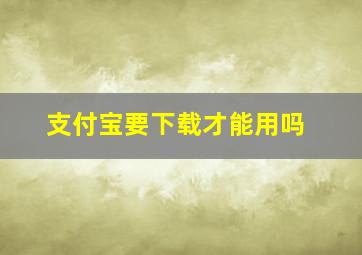 支付宝要下载才能用吗