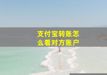 支付宝转账怎么看对方账户