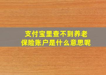 支付宝里查不到养老保险账户是什么意思呢