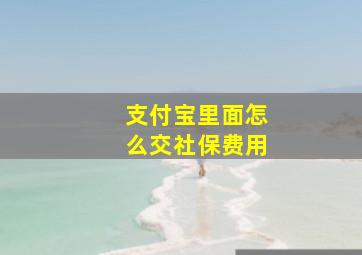 支付宝里面怎么交社保费用