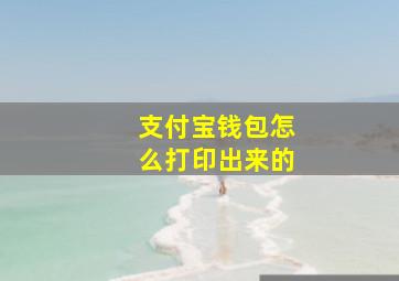 支付宝钱包怎么打印出来的