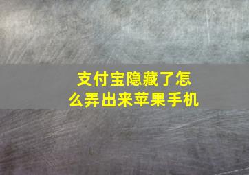 支付宝隐藏了怎么弄出来苹果手机