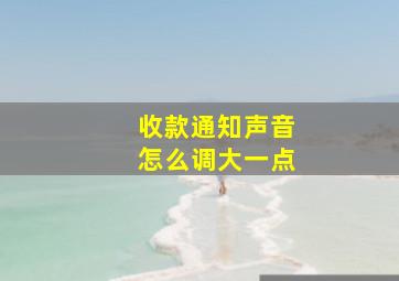 收款通知声音怎么调大一点