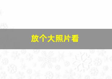 放个大照片看