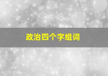 政治四个字组词