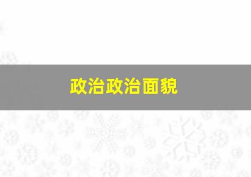 政治政治面貌