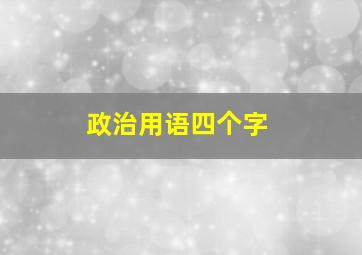 政治用语四个字