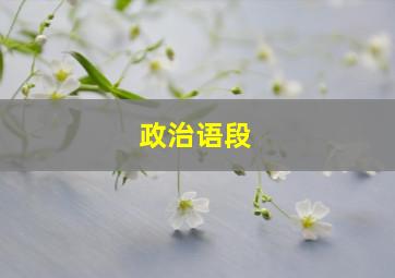 政治语段