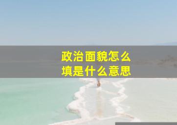 政治面貌怎么填是什么意思