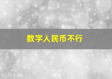 数字人民币不行