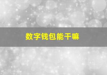 数字钱包能干嘛