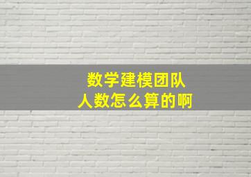 数学建模团队人数怎么算的啊