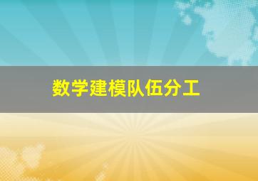 数学建模队伍分工