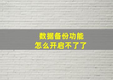 数据备份功能怎么开启不了了