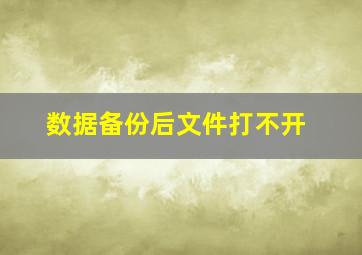 数据备份后文件打不开