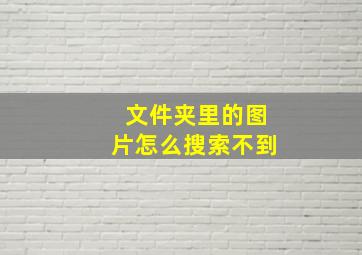 文件夹里的图片怎么搜索不到