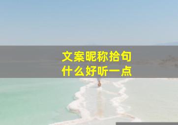 文案昵称拾句什么好听一点