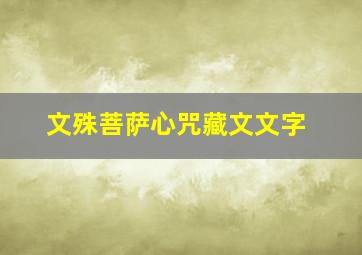 文殊菩萨心咒藏文文字