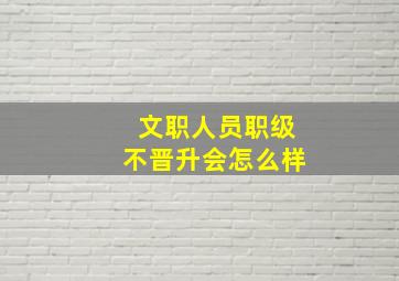 文职人员职级不晋升会怎么样