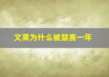 文莱为什么被禁赛一年