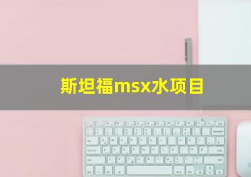 斯坦福msx水项目