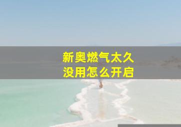 新奥燃气太久没用怎么开启