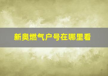 新奥燃气户号在哪里看