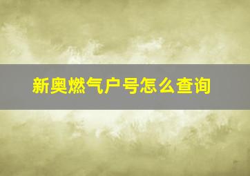 新奥燃气户号怎么查询