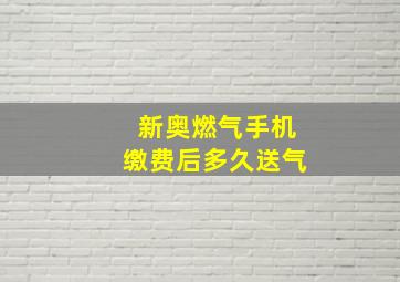 新奥燃气手机缴费后多久送气