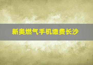 新奥燃气手机缴费长沙