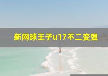 新网球王子u17不二变强