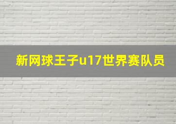 新网球王子u17世界赛队员