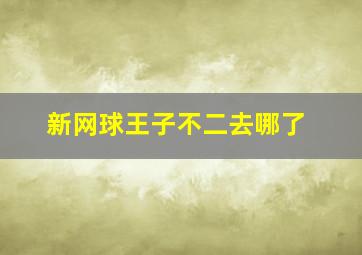 新网球王子不二去哪了