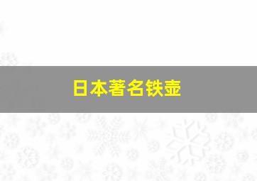 日本著名铁壶