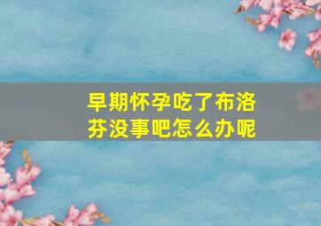 早期怀孕吃了布洛芬没事吧怎么办呢