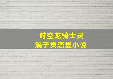 时空龙骑士灵溪子贡恋爱小说