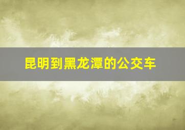 昆明到黑龙潭的公交车