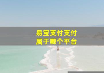 易宝支付支付属于哪个平台