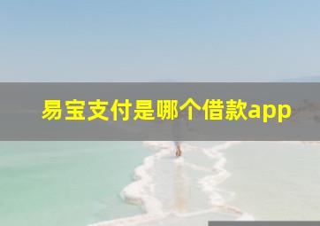 易宝支付是哪个借款app