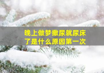 晚上做梦撒尿就尿床了是什么原因第一次