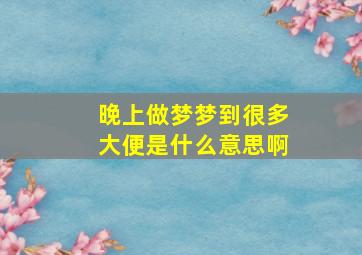 晚上做梦梦到很多大便是什么意思啊