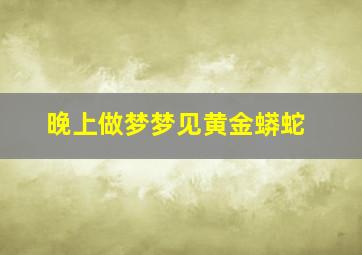 晚上做梦梦见黄金蟒蛇