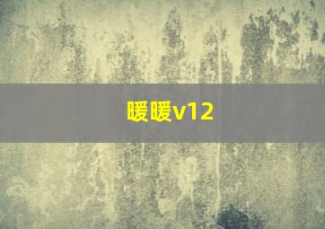 暖暖v12