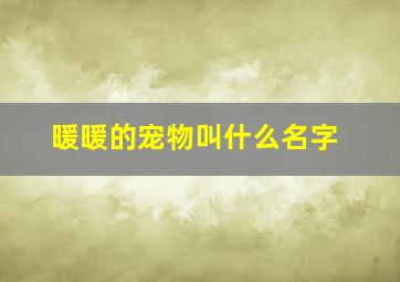 暖暖的宠物叫什么名字