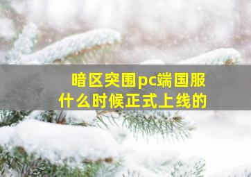 暗区突围pc端国服什么时候正式上线的